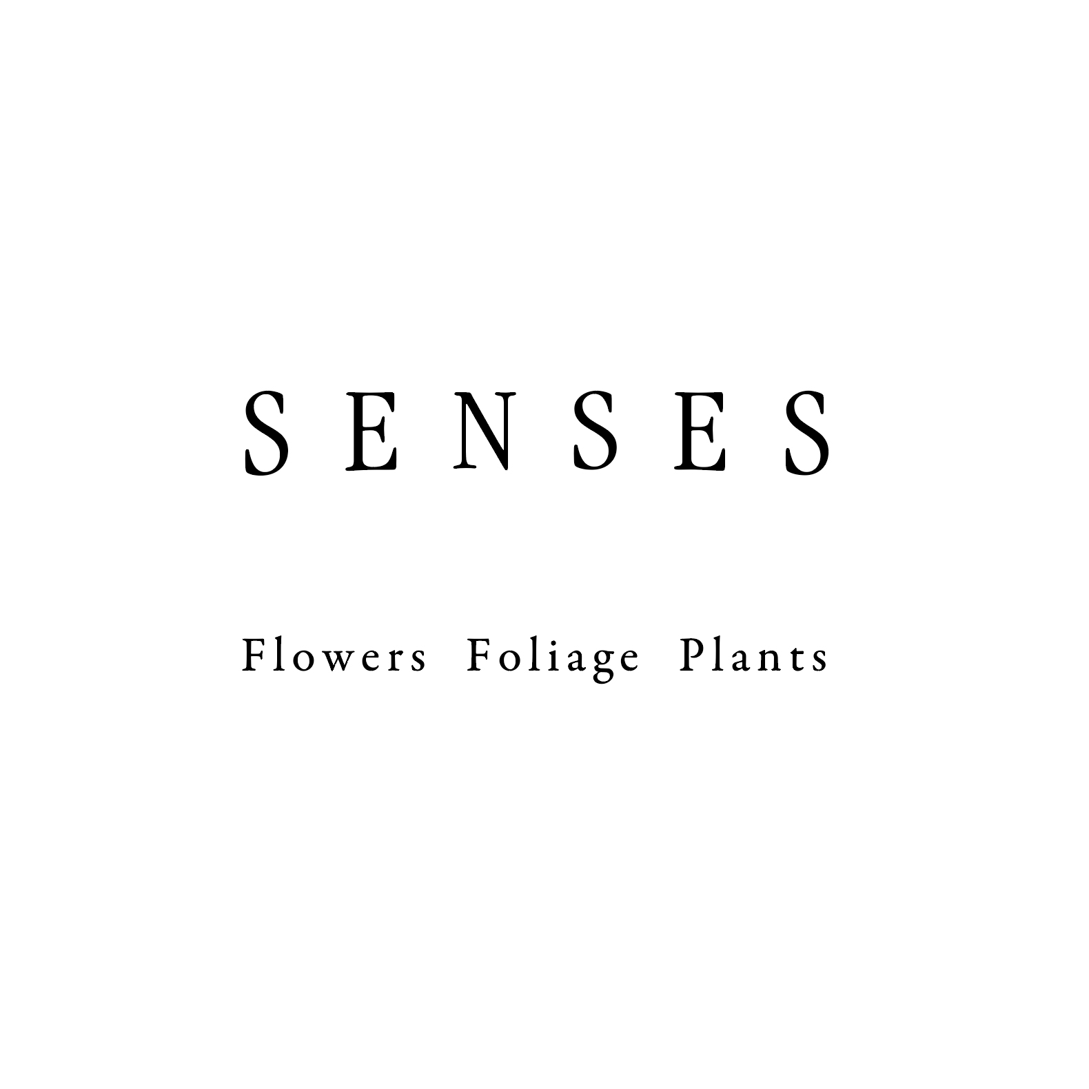studio SENSES - flowers foliage plants｜フラワースタジオ｜ロゴデザイン グラフィックデザイン｜東京都世田谷